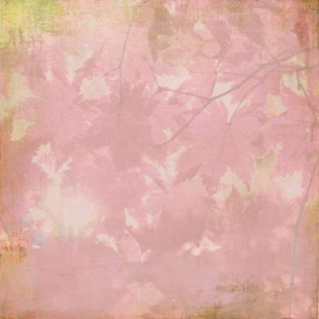 Papel Decorado Scrapbook - Basic Grey - Indian Summer - Woodrose - 30x30 cm