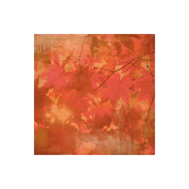 Papel Decorado Scrapbook - Basic Grey - Indian Summer - Aspen - 30x30 cm