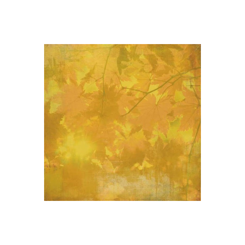 Papel Decorado Scrapbook - Basic Grey - Indian Summer - Maize - 30x30 cm