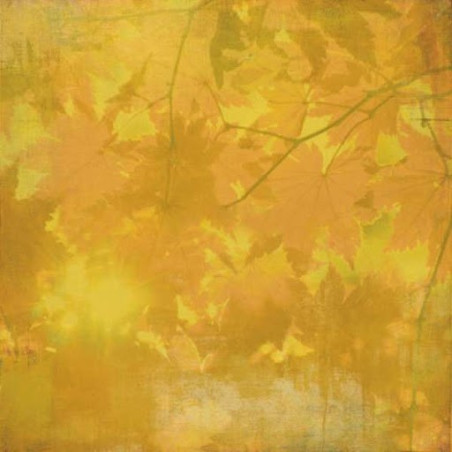 Papel Decorado Scrapbook - Basic Grey - Indian Summer - Maize - 30x30 cm
