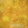 Papel Decorado Scrapbook - Basic Grey - Indian Summer - Maize - 30x30 cm