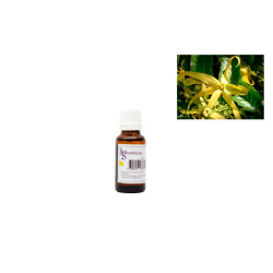 Essência - 20 ml - Ylang Ylang