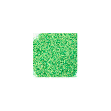 Glitter - 10 gr - Verde - Grau Cosmético