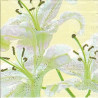 Guardanapo White Lilies