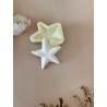 Molde Silicone - Estrela do Mar - Incas - ML015