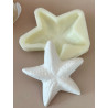 Molde Silicone - Estrela do Mar - Incas - ML015
