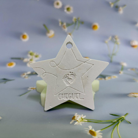 Molde Silicone - Placa Estrela Cheguei - Incas - ML185