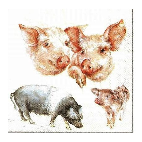 Guardanapo Decorativo para Decoupage - Pig