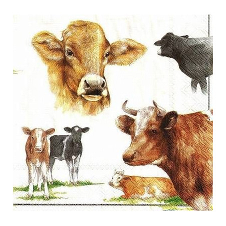 Guardanapo Vacas Várias