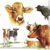 Guardanapo Vacas Várias