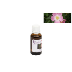 Essência - 20 ml - Rosa Mosqueta