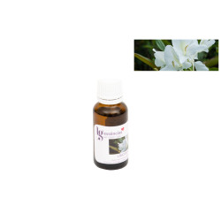 Essência - 20 ml - Lírio do Vale