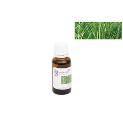 Essência - 20 ml - Vetiver