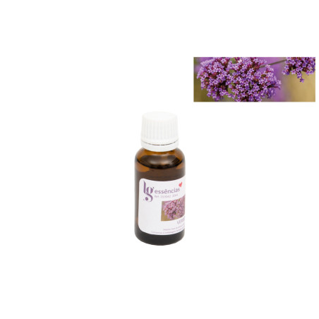 Essência - 20 ml - Verbena