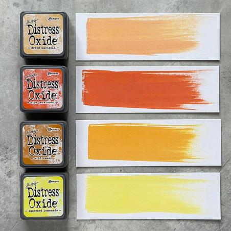 Almofadas de Tinta Ranger Tim Holtz Distress Mini Oxide Ink - Mini Kit 8