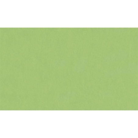 Cartolina Pastel - Artis Decor - Verde - 210gr