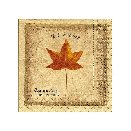 Guardanapo Decoupage - Mid Autumn