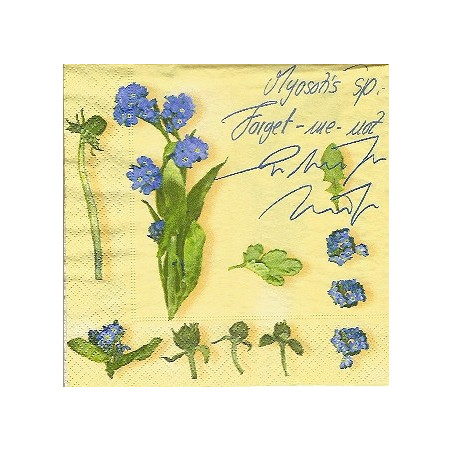 Guardanapo Myosotis