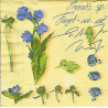 Guardanapo Myosotis