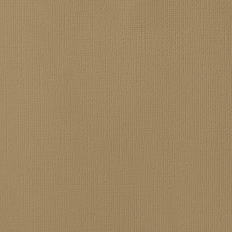 Cartolina com Textura Tela - Artis Decor - Caramelo - 216gr