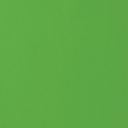 Cartolina com Textura Tela - Artis Decor - Verde Vivo - 216gr