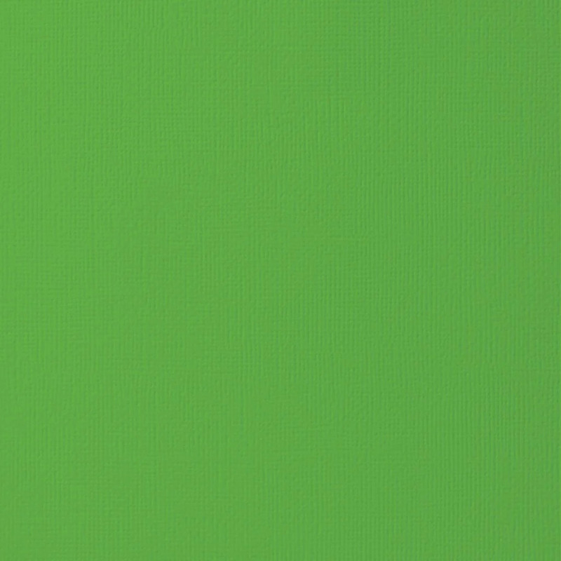 Cartolina com Textura Tela - Artis Decor - Verde Vivo - 216gr