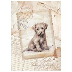 Papel de Arroz - Quiet Days - A6 - Stamperia