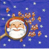 Guardanapo Mini Santa
