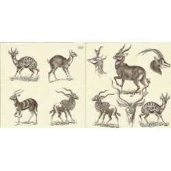 Guardanapo Foresters champagne