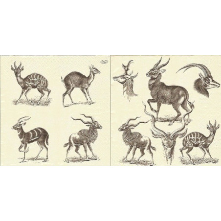 Guardanapo Foresters champagne