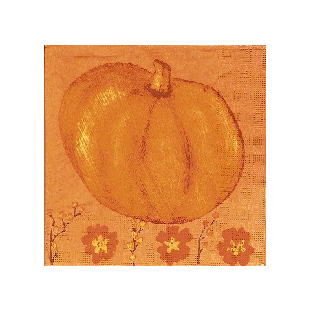 Guardanapo Orange is For