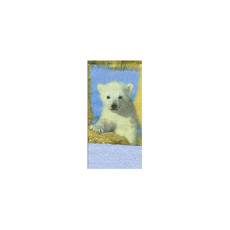 Lenço Ursinho Polar