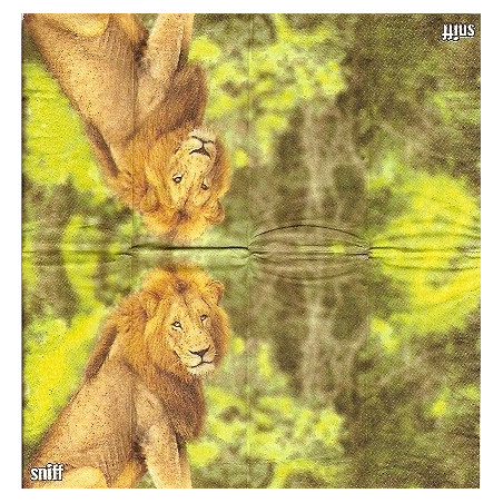 Lenço Rei da Selva