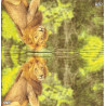 Lenço Rei da Selva