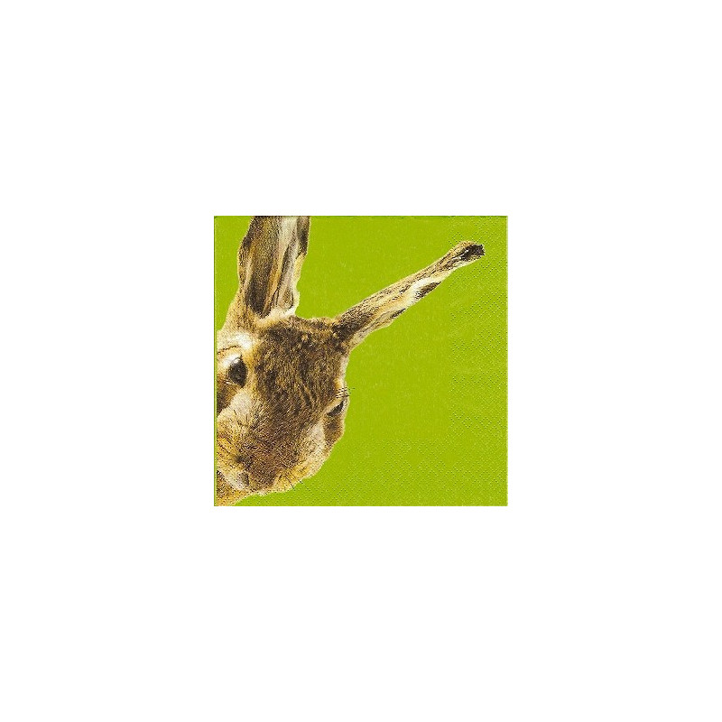 Guardanapo para Decoupage - Rabbit in Green