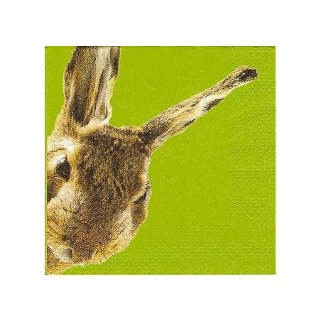 Guardanapo para Decoupage - Rabbit in Green