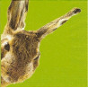 Guardanapo para Decoupage - Rabbit in Green