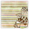 Papel Decorado Scrapbook - Sassafras - Dreamy - Crush - 30x30 cm