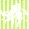Guardanapo Decoupage - Amorettes Lime