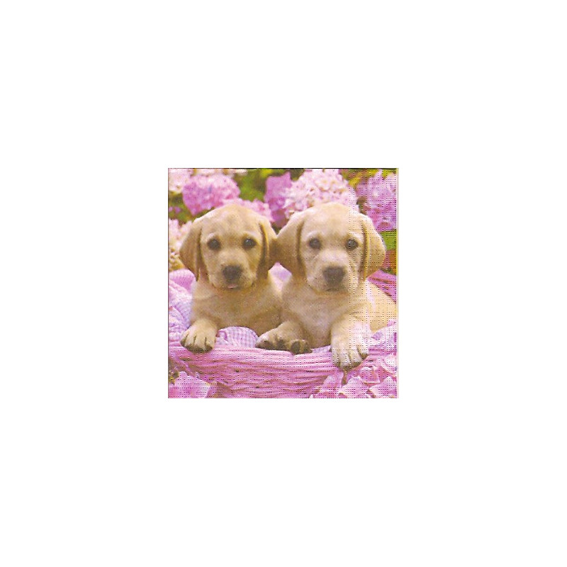 Guardanapo Cute Labradors