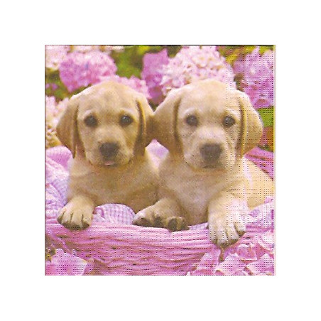 Guardanapo Cute Labradors