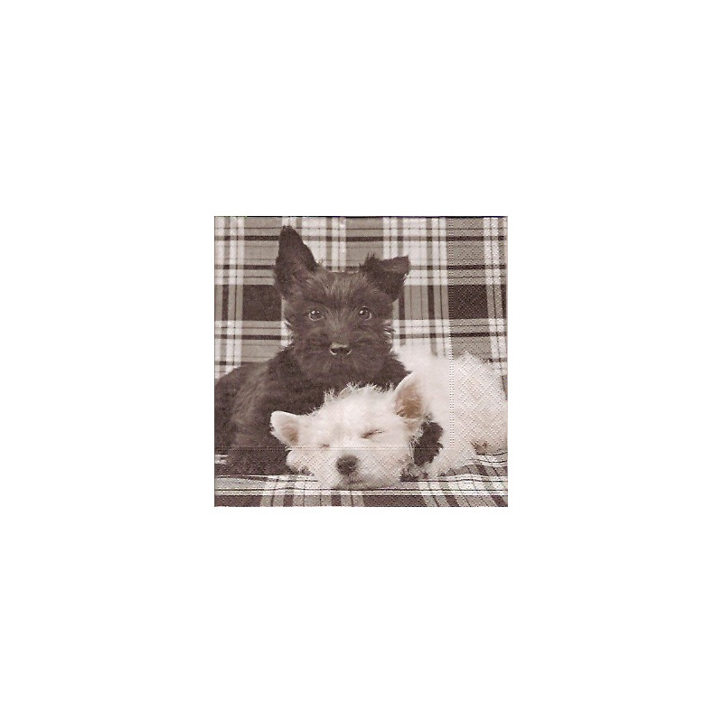 Guardanapo Black & White Friends