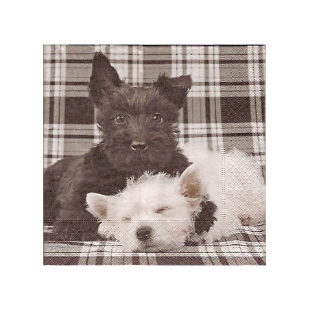 Guardanapo Black & White Friends