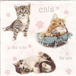 Guardanapo The Cats