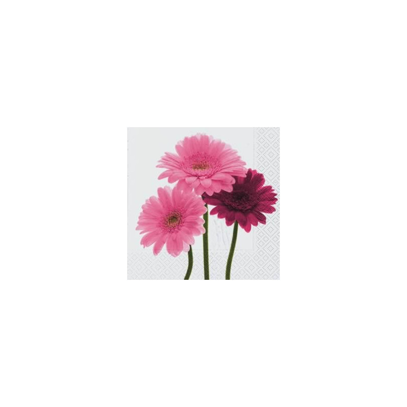Guardanapo Beautiful Gerberas