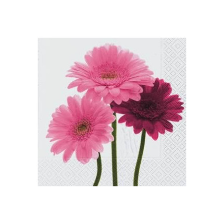 Guardanapo Beautiful Gerberas