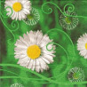 Guardanapo para Decoupage - Spring Daisies