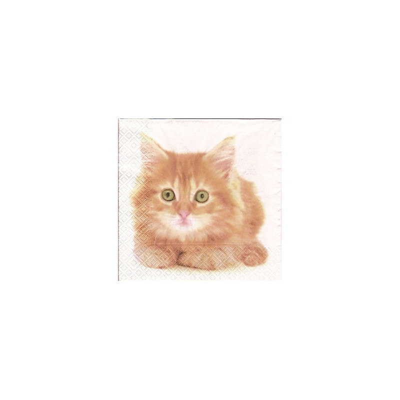Guardanapo Cute Kitten