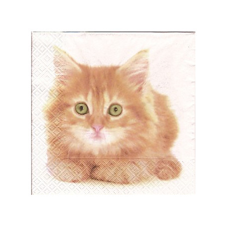 Guardanapo Cute Kitten
