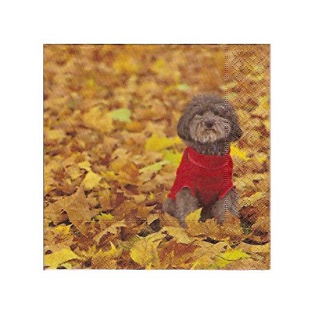Guardanapo Autumn Stroll